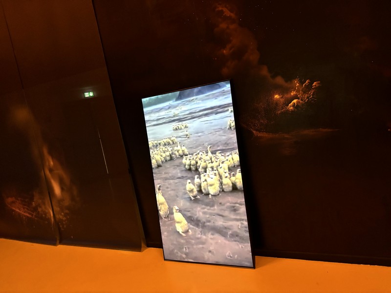 pictomed-3bit-2026-06