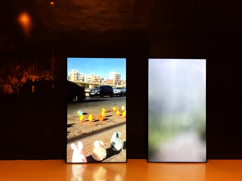 pictomed-3bit-2026-08