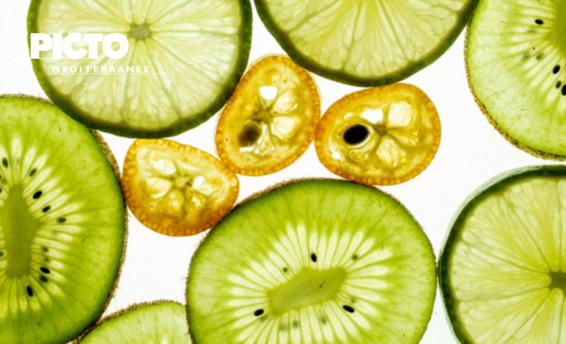 Exposition :  Citrons - Yves Tenaglia
